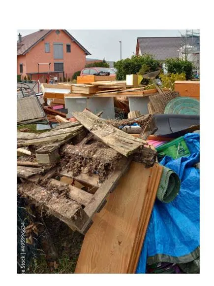 Galeriebild cropped_1743163500_0568513001743163485_790005.jpg