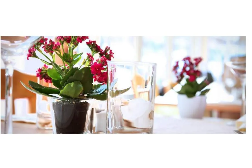 Galeriebild hotel-turna-anstalt-6.jpg