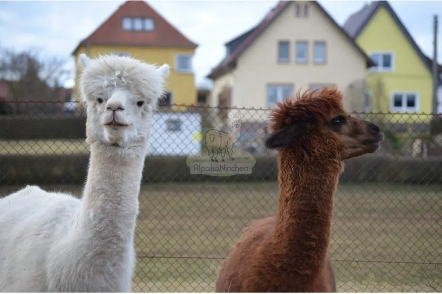 Galeriebild 9516-img50477-51.jpg