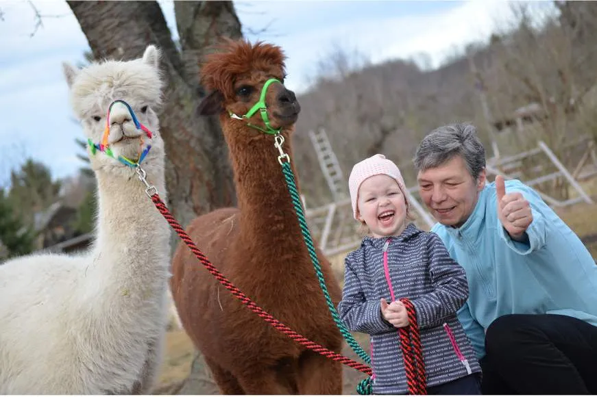 Galeriebild alpakaninchen-2-1-1532682750.jpg