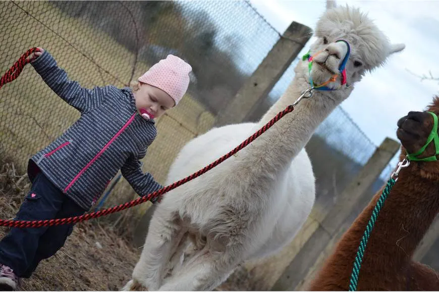 Galeriebild dsc-7782.jpg