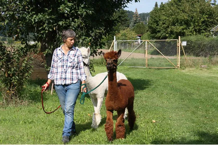 Galeriebild img-7343-1-1532682832.jpg