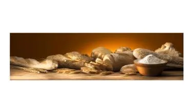 Unternehmen Premiumbäckerei Düwell