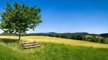 Unternehmen KVT Praxis lic. phil. G. Bignasca